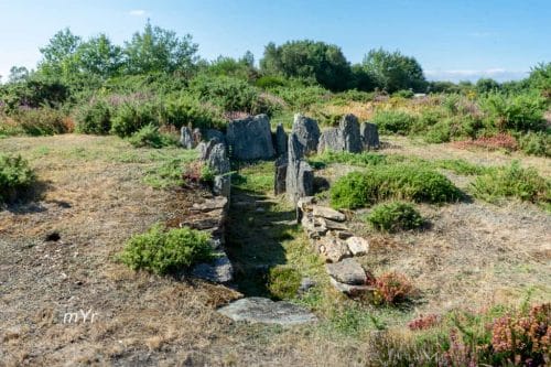 Dolmen sur Saint Pierre Saint Just Redon  Ille-et-Vilaine Bretaña