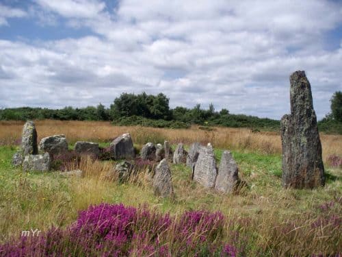 Dolmen-norte-Saint-Pierre F1-Saint-Just-Redon-Ille-et-Vilaine