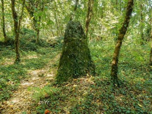Menhir-de-Bel-Air-Saint-Just-Redon-Ille-et-Vilaine Bretaña